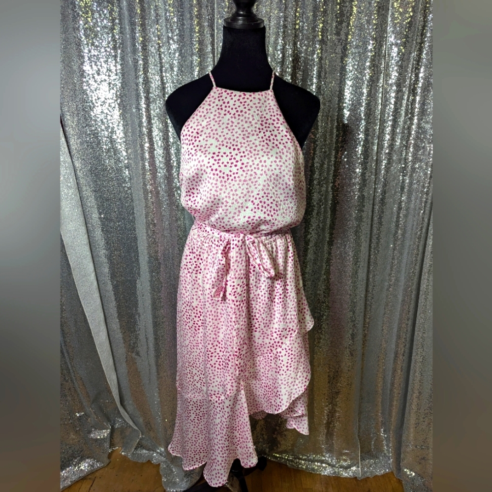 Summer Party Pink and White Polkadot Express Dress Women's S
